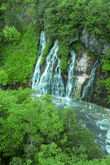 Fototapeta na wymiar 北海道美瑛の白鬚の滝