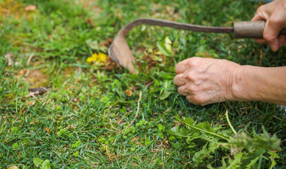 Gardening tools like trowels, spades, and shovels are essential for yard work, pulling weeds, and garden maintenance. Symbolizing hard work, creativity, and environmental stewardship