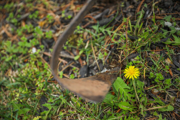 Gardening tools like trowels, spades, and shovels are essential for yard work, pulling weeds, and garden maintenance. Symbolizing hard work, creativity, and environmental stewardship