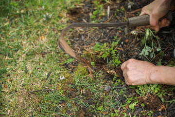 Gardening tools like trowels, spades, and shovels are essential for yard work, pulling weeds, and garden maintenance. Symbolizing hard work, creativity, and environmental stewardship
