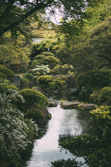 the garden of a traditional Japanese house