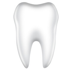white tooth vector png 