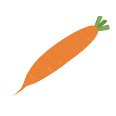 Carrot