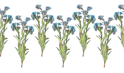 Seamless rim with watercolor forget - me - not on white background. Spring and summer flower for sticker or sketchbook and card. Hand-drawn border for wallpaper or wrapping. Vintage romantic element