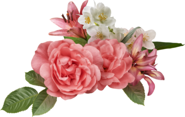 Pink roses and lily isolated on a transparent background. Png file.  Floral arrangement, bouquet of garden flowers. Can be used for invitations, greeting, wedding card.