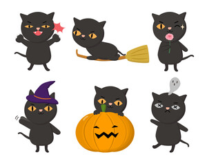 Black cat Animal characters of various professions and posing such as fight, broom ride, sniff, witch, pumpkin, ghost, die.