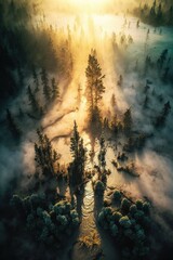(2:3) Fantasy meets colorful serenity in this beautiful aerial mystical foggy forest with fairies and mythical creatures Sunset view featuring the tranquil hours Generative AI