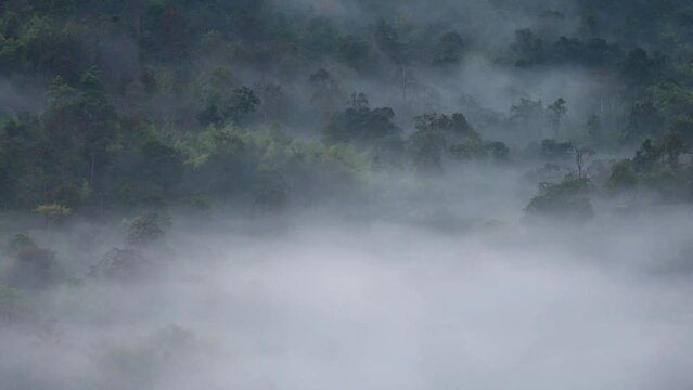 4K time-lapse video motion. Beautiful of morning fog over fertile forest mountains. Pang Puai, Mae Moh, Lampang, Thailand.