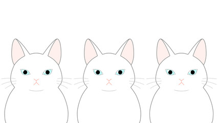 正面を向いた３匹の白色の猫