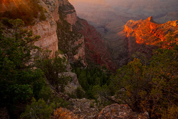 Grand Canyon north rim at golden sunset, Arizona. Red rock of the canyon. Arizona and Utah desert.