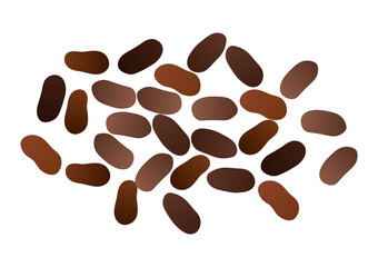 Cocoa beans Vector Illustration Isolated on White Background.