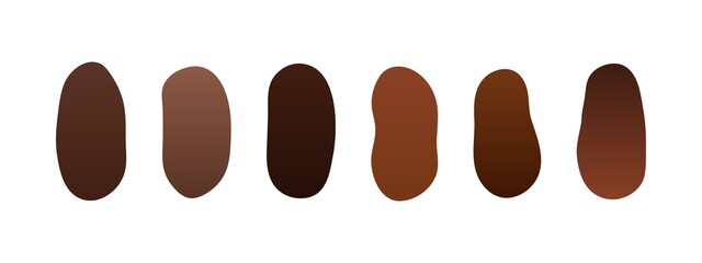 Cocoa beans Vector Illustration Isolated on White Background.