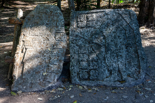 Coba Ruins, Quintana Roo, Mexico
