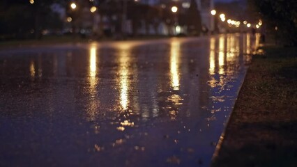 Street Lamps Reflections on Wet Surface of Empty Park Boulevard in Night City on Rainy Evening