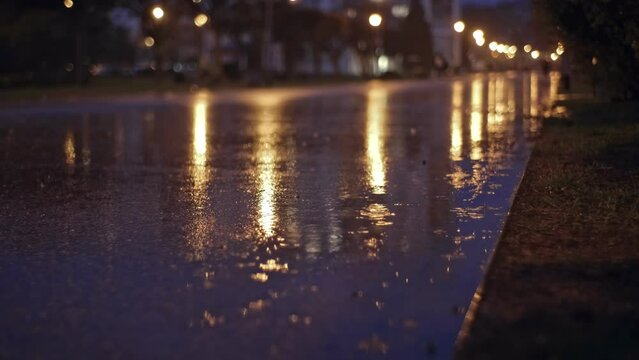 Street Lamps Reflections on Wet Surface of Empty Park Boulevard in Night City on Rainy Evening