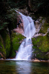 Fototapeta na wymiar Beautiful and serene waterfall at Jakuchi Gorge, Goryu Falls, 7 falls hike in Iwakuni, Yamaguchi prefecture, Japan.