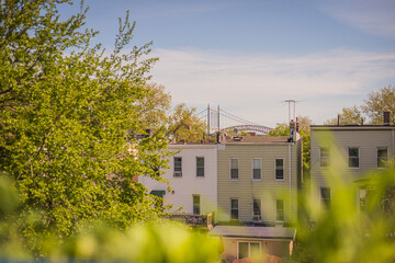 Urban farming & gardening on the rooftop