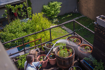 Urban farming & gardening on the rooftop
