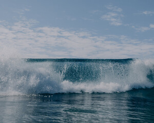 Fototapeta premium Having fun swimming under clear blue waves