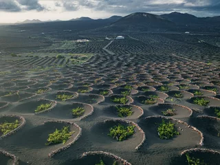 Selbstklebende Fototapete Kanarische Inseln volcanic wineyards from aerial view