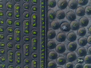 volcanic wineyards from aerial view