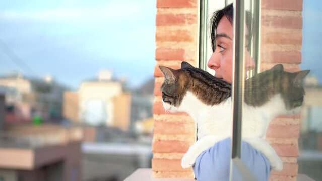 Cat looking our window from owner arms indoor flar or apartment