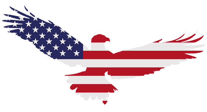 USA's national bird Bald Eagle with American Flag