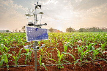 Weather station in corn field, 5G technology with smart farming concept