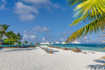 Beautiful outdoor tourism landscape. Luxury beach resort with swimming pool and beach chairs beds under umbrellas with palm trees sunny sand blue sea sky. Summer travel and vacation background concept