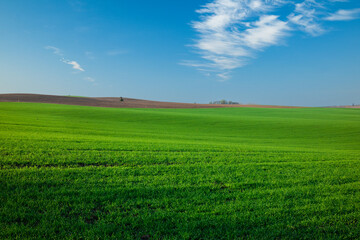 Sunrise farmland view on rural meadows