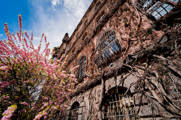 Facade of a old european historical building with vintage windows and doors