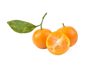 kumquat orange that placed on white background