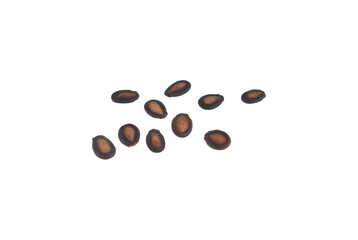 dried watermelon seeds isolated on white background