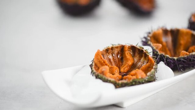 Sea Urchin with caviar close-up, on white plate. Fresh open sea urchins with ice, ready to eat. Border design, delicatessen food. Traditional Mediterranean food. Roe. Seafood. 