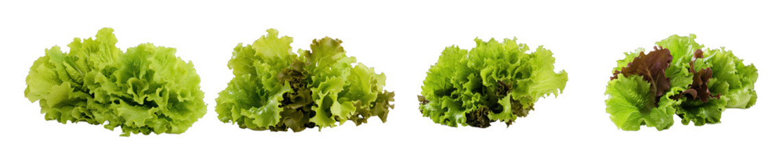  Set of lettuce on transparent background