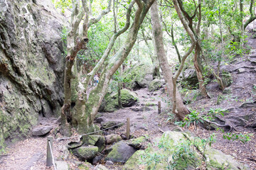 Fernkloof Nature Reserve In Hermanus, Western Cape, South Africa