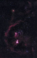 Orion Widefield
