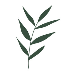 Aesthetic floral plant elements illustration template