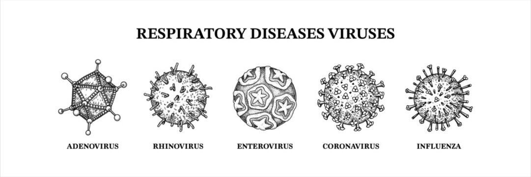 Respiratory diseases viruses. Hand drawn set of microorganisms. Scientific vector illustration in sketch style