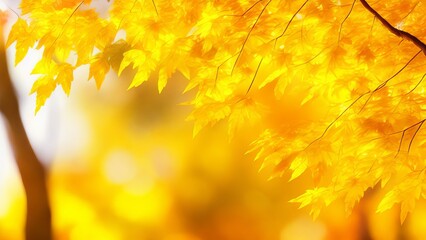 Naklejka na ściany i meble A close-up of a tree with yellow leaves in autumn. Generative AI.