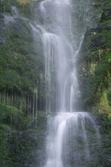 Fototapeta premium Waterfall in Slanghoek Valley, Western Cape, South Africa