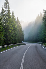 Fototapeta premium Road in forest in foggy morning