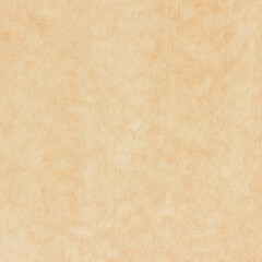 Old Paper texture. vintage paper background or texture; brown paper texture