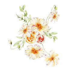 Watercolor minimalistic bouquet, field flowers, poppy, floral arrangement, png illustration.