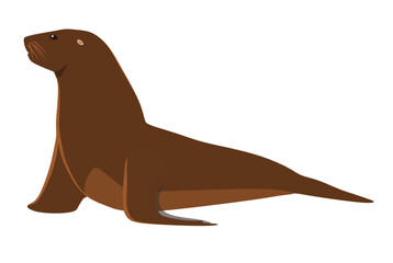 Sea Lion