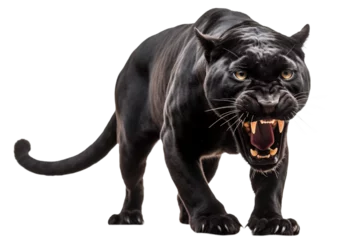 Foto op Plexiglas Roaring black panther isolated of transparent background. PNG. Digital art © Katynn