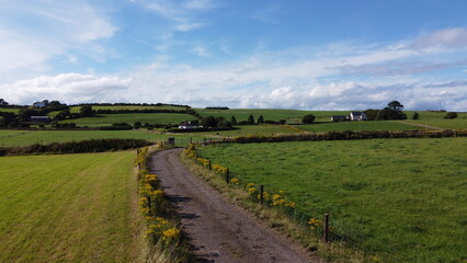 A road between fields. Blue sky over grass fields. Irish summer landscape. Green grass field under blue sky