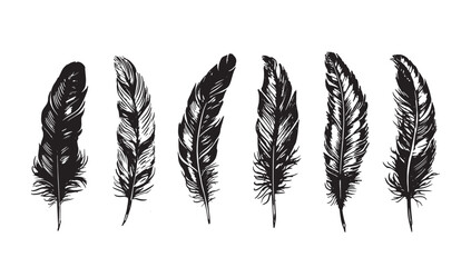 Hand drawn feather on white background	
