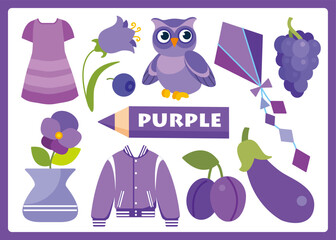 Purple color cartoon illustration for learning colors. Cute purple objects set for kids: dress, harebell, bilberry, owl, kite, violet, vase, jacket, plum, eggplant, grape.