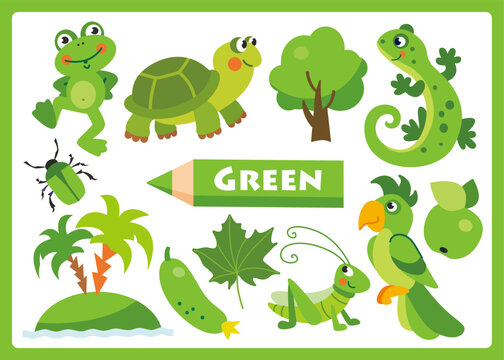 Green cartoon illustration for learning colors. Cute green objects set for kids: frog, turtle, tree, lizard, beetle, palm, cucumber, leaf, grasshopper, apple, parrot.